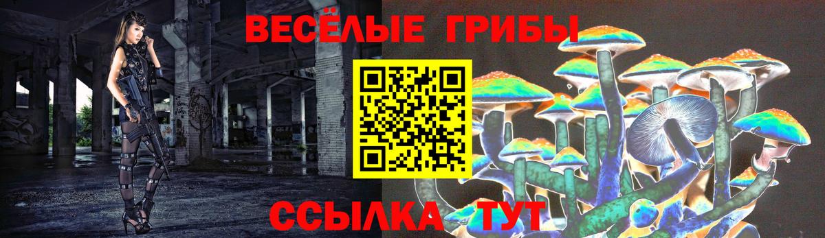 Галлюциногенные грибы Magic Shrooms  Вход с VPN  Тверь 