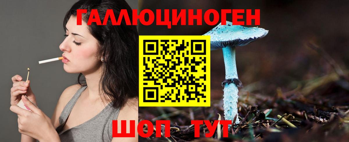 Галлюциногенные грибы GOLDEN TEACHER Тверь